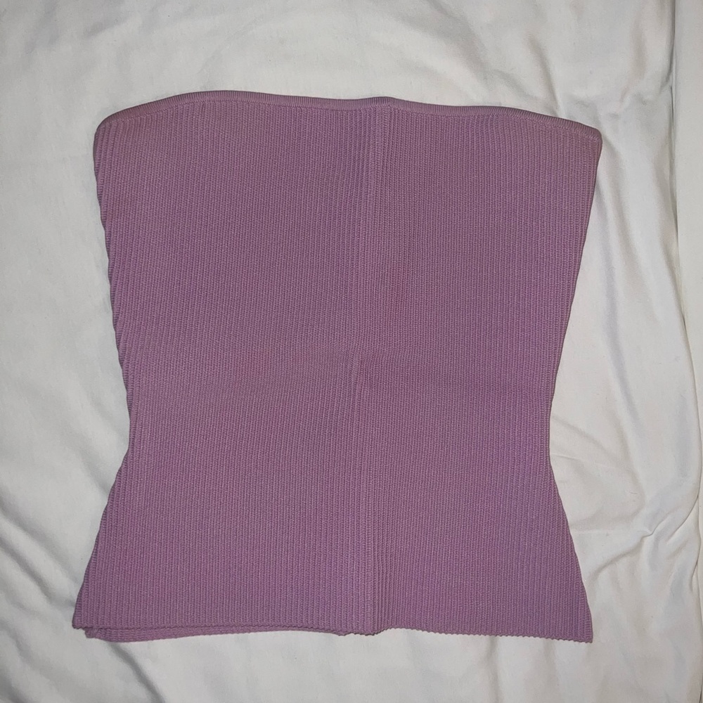 Aritzia Babaton Strapless Top